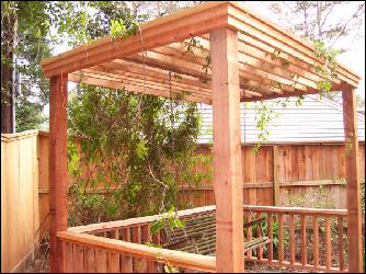 Cedar Arbor